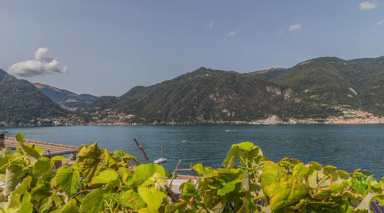 Ninfea Apartments By Wonderful Italy Lezzeno Exteriör bild